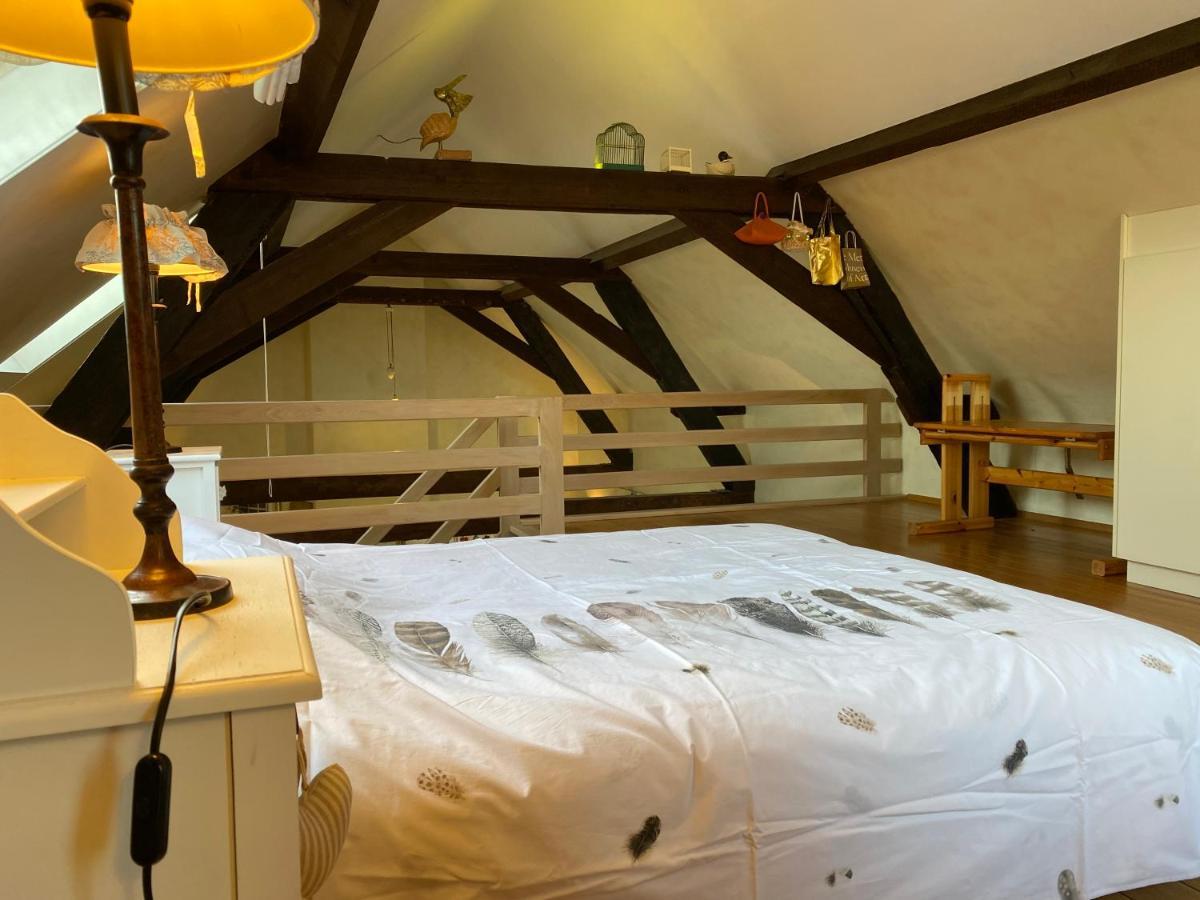 Vakantiewoning Jerome Heuvelland Zewnętrze zdjęcie