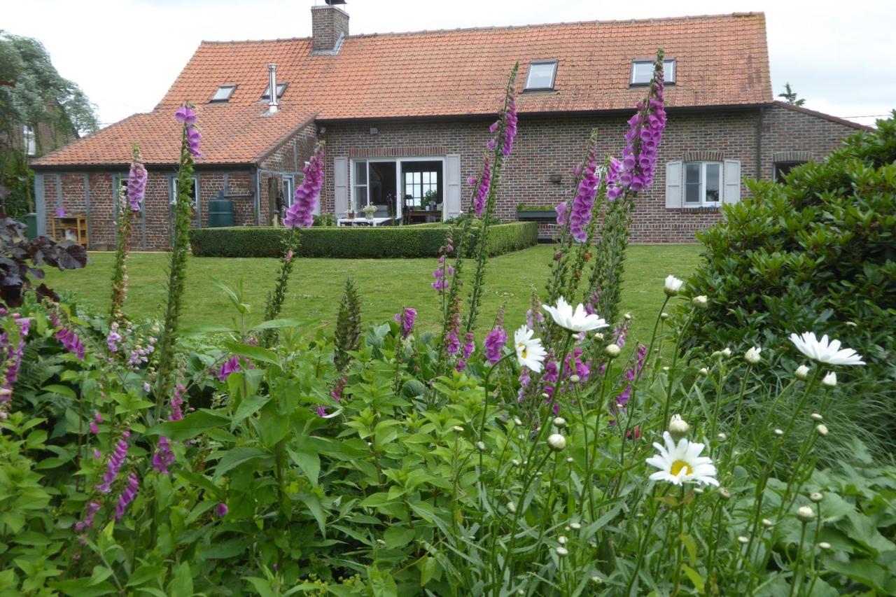 Vakantiewoning Jerome Heuvelland Zewnętrze zdjęcie